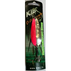 Cambri | Kibs